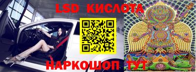 прущие грибы Сланцы