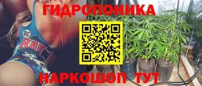 прущие грибы Сланцы