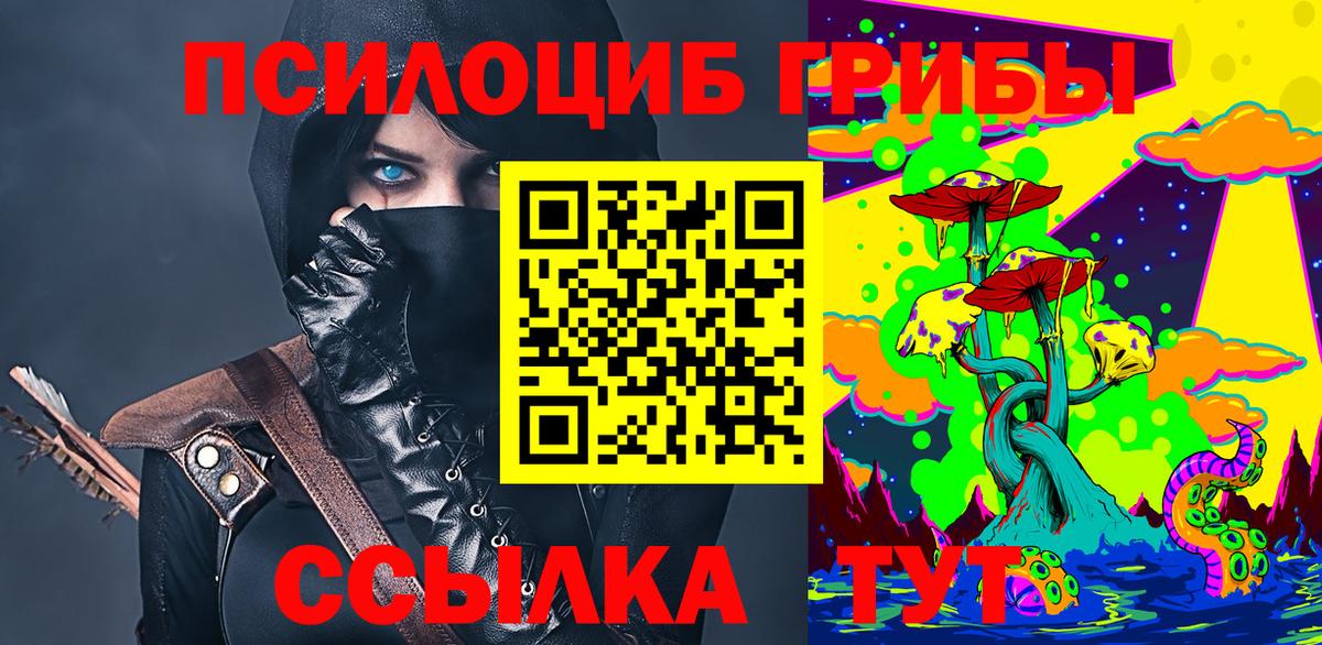 Псилоцибиновые грибы Psilocybine cubensis Мыски