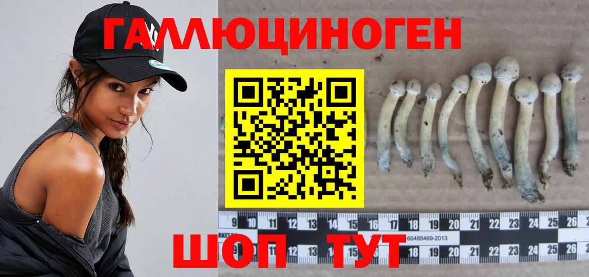 Псилоцибиновые грибы Psilocybine cubensis  Вход с VPN  Мыски  Псилоцибиновые грибы Psilocybine cubensis 
